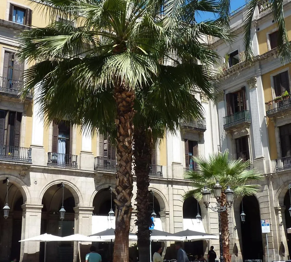 Roma Reial Hotel Barcelona